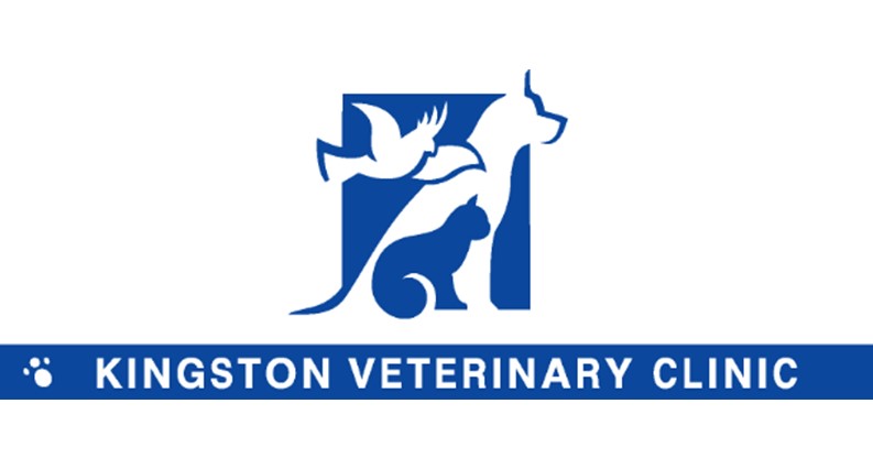 Kingston Vet Clinic